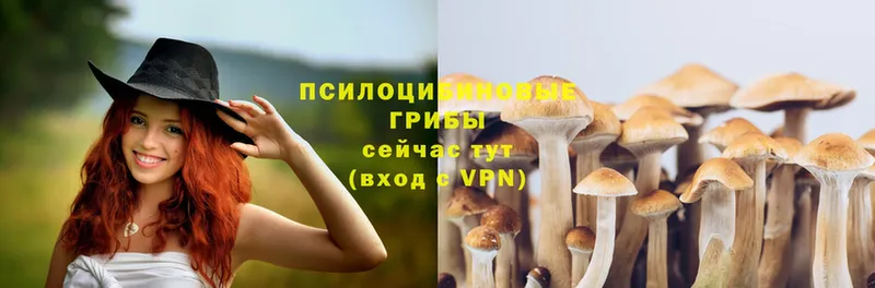 Галлюциногенные грибы Magic Shrooms  ссылка на мегу маркетплейс  Ак-Довурак 